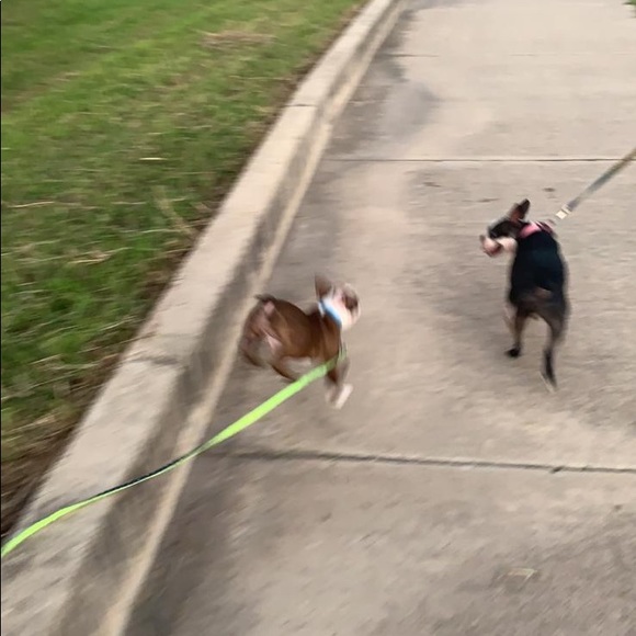 Nike mercurial superfly 7 - Picture 5 of 5